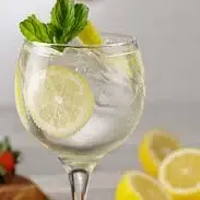 Gin Tónico