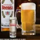 Steinhager Becosa