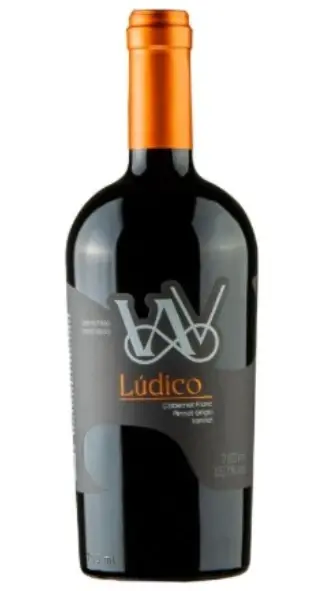 Arte Viva Lúdico